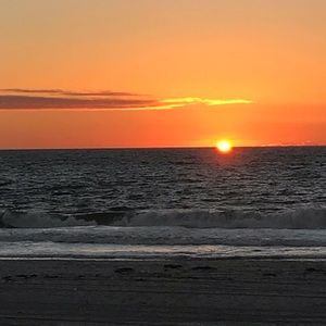 Meet your Posher, Adriene